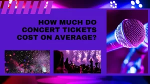 How Much Is A Concert Usually?